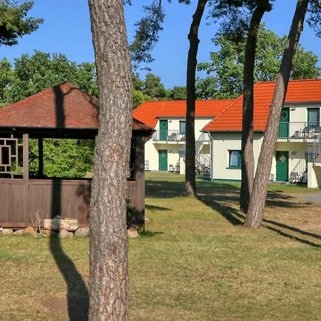 Apartment 3 Bedroom Amazing In *
